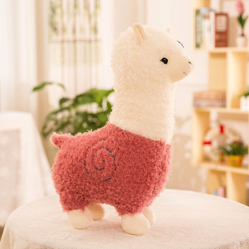 Alpaca