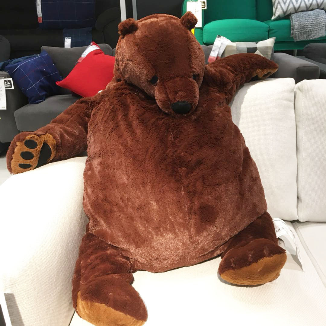 Bear