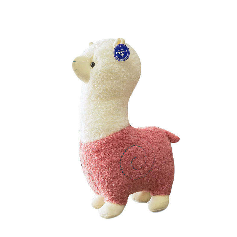 Alpaca