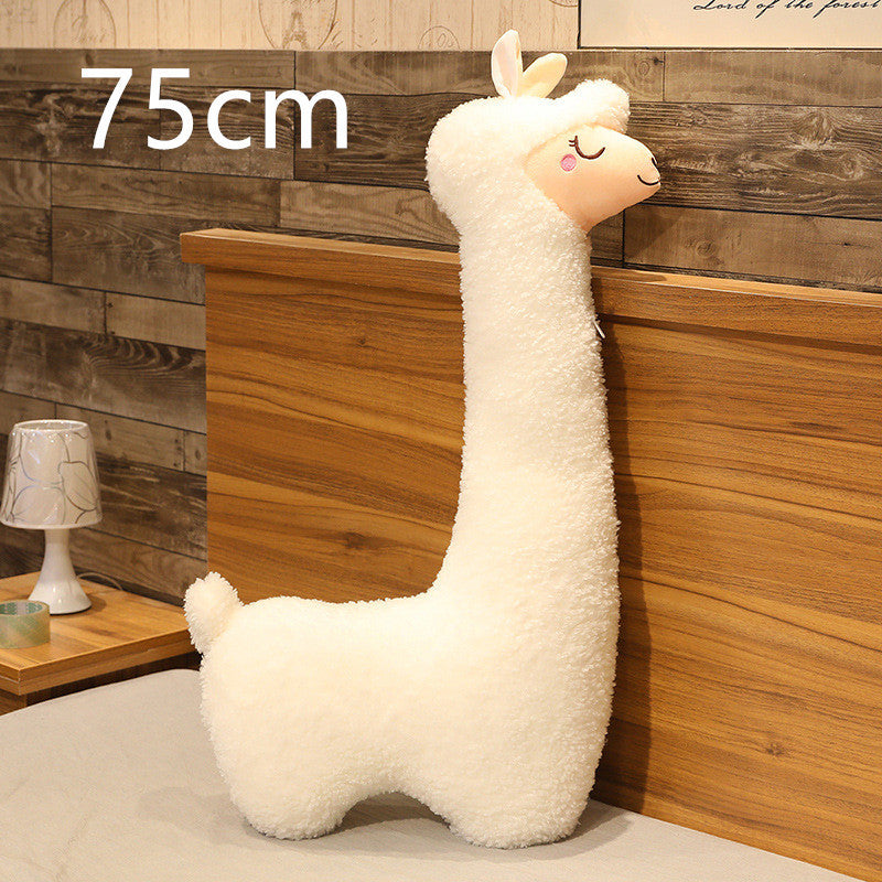 Alpaca