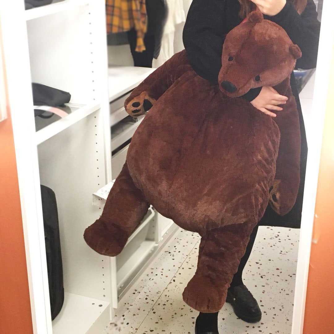 Bear
