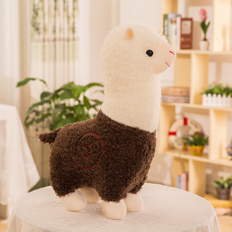 Alpaca