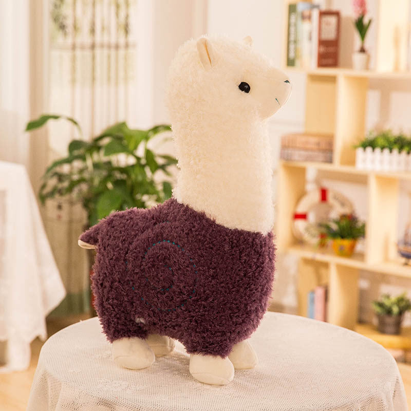Alpaca