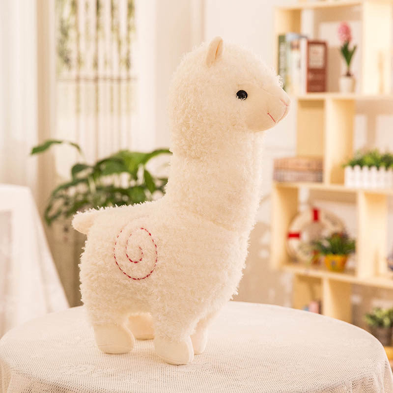 Alpaca