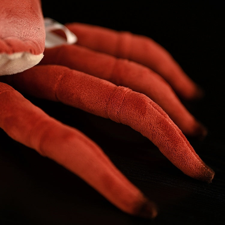 Crab