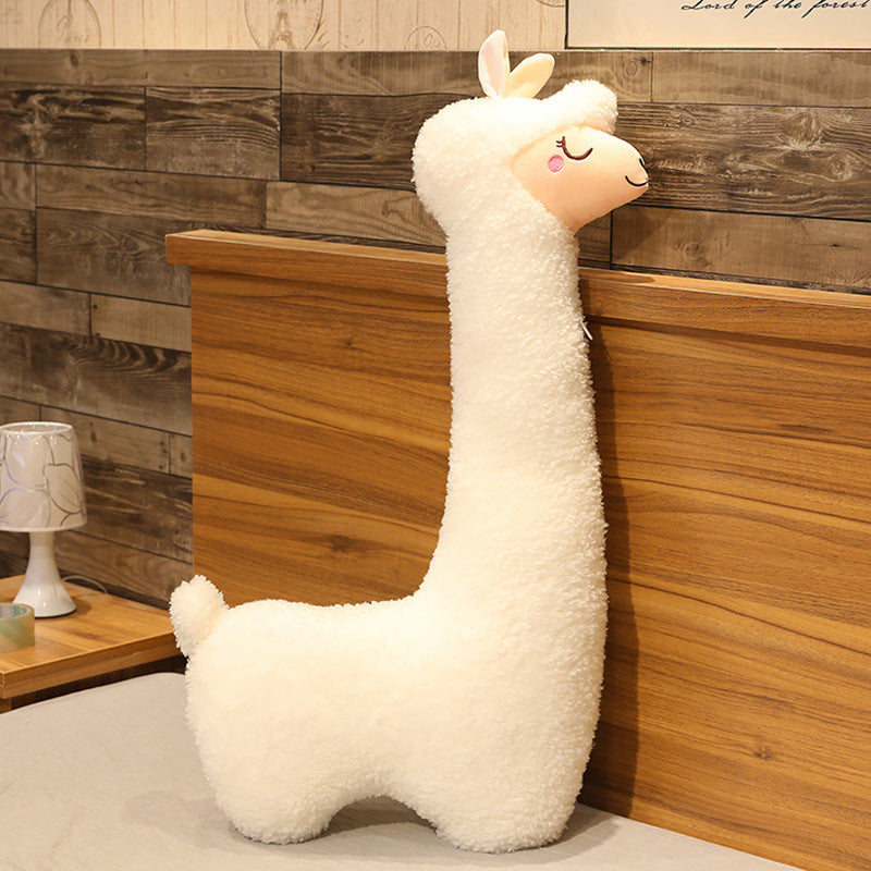 Alpaca