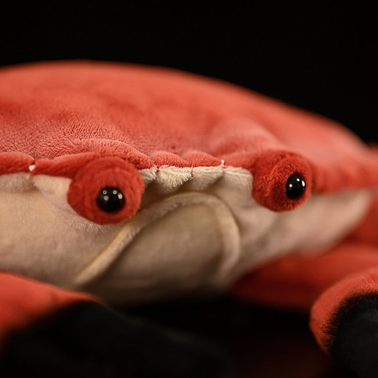 Crab