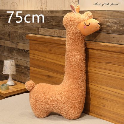 Alpaca