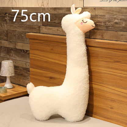 Alpaca