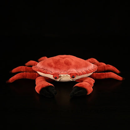 Crab