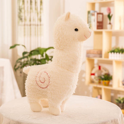 Alpaca