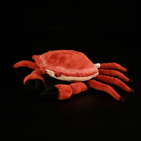 Crab