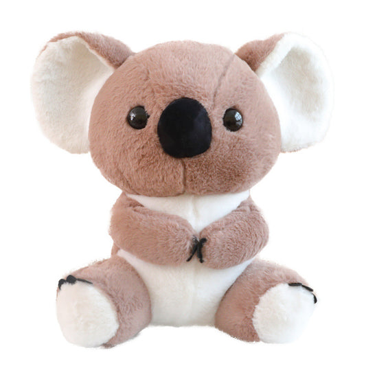 Australian Koala